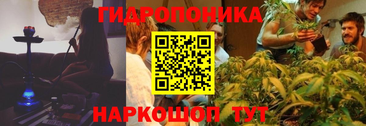 Бошки Шишки LSD WEED  Бошки марихуана гибрид  Марихуана White Widow  Вход с VPN  Грозный 